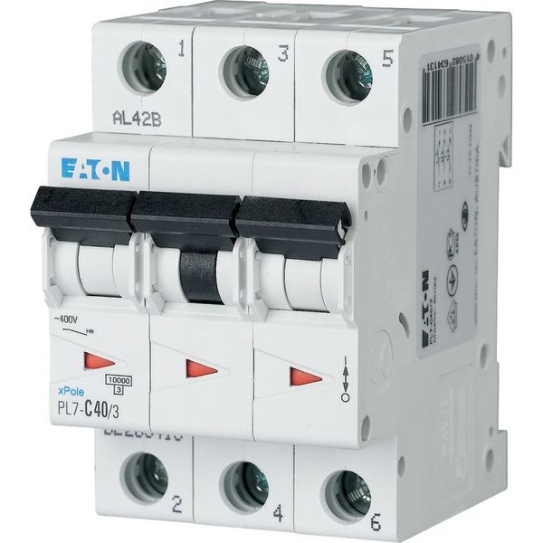 Miniature circuit breaker (MCB), 40 A, 3p, characteristic: B image 2