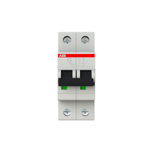 S202-B63 Miniature Circuit Breaker - 2P - B - 63 A image 1