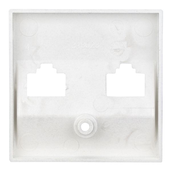 Cover for double data sockets, silver image 1