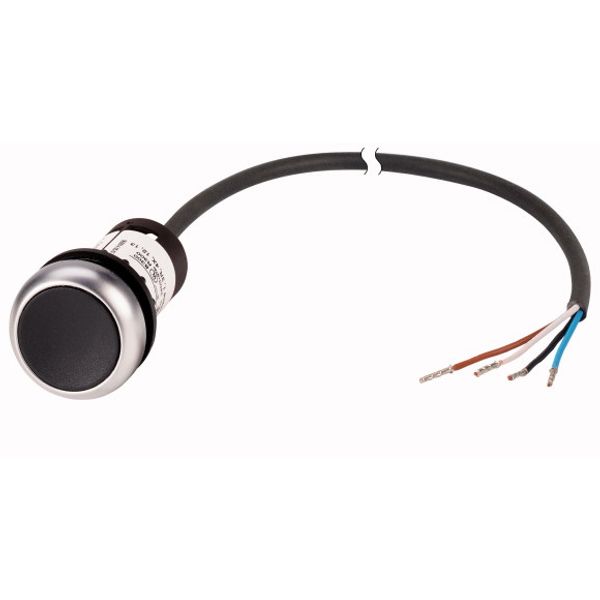 Pushbutton, Flat, momentary, 1 NC, Cable (black) with non-terminated end, 4 pole, 1 m, black, Blank, Bezel: titanium image 1