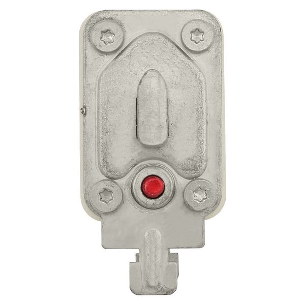 Fuse-link, high speed, 250 A, AC 690 V, DIN 1, 52 x 66 x 135 mm, gR, DIN, IEC, single indicator image 11