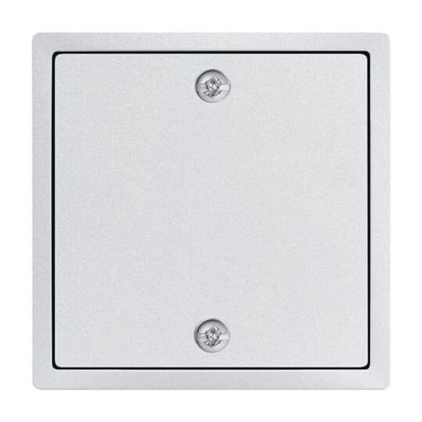 1796-84 CoverPlates (partly incl. Insert) future®, Busch-axcent®, solo®; carat® Studio white image 5