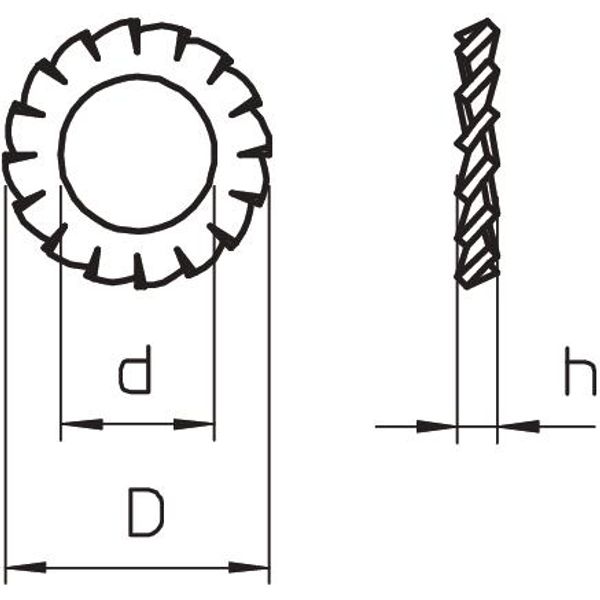 SWS M12 G Serrated washer  M12 image 2