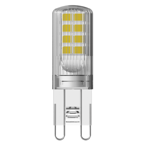 LED Essence Pin, RL-PIN30 827/C/G9 image 1