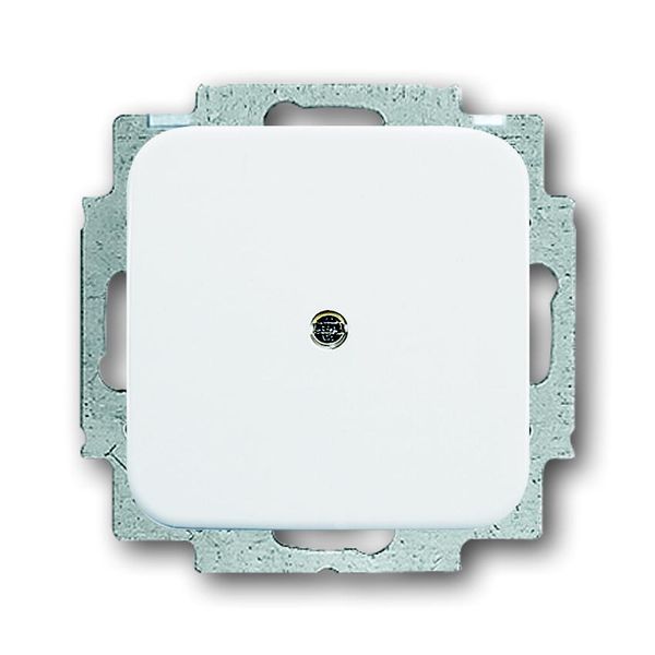 2538-214 CoverPlates (partly incl. Insert) carat® Alpine white image 1