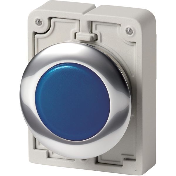 Indicator light, RMQ-Titan, Flat, Blue, Metal bezel image 2