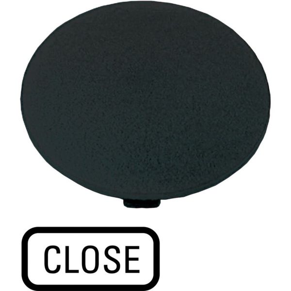 Button plate, mushroom black, CLOSE image 6