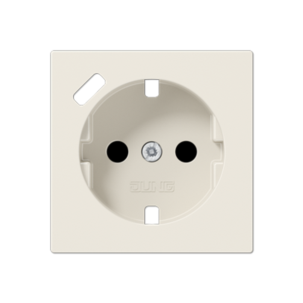 Centre plate SCHUKO® sockets A1520-18CPL image 1