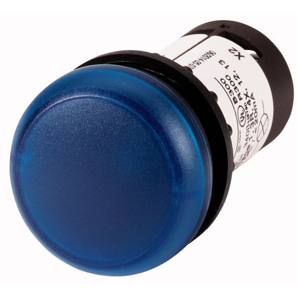 Indicator light, Flat, Screw connection, Lens Blue, LED Blue, 24 V AC/DC image 1