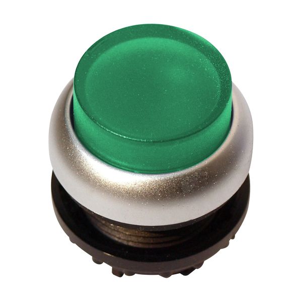 Illuminated Push-button, extended, spring-return, green image 1