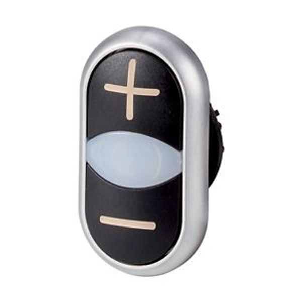 Double actuator pushbutton, RMQ-Titan, Actuators and indicator lights non-flush, momentary, White lens, black, black, inscribed, Bezel: titanium image 8