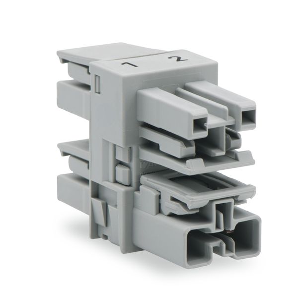 3-way distribution connector 2-pole Cod. B gray image 1