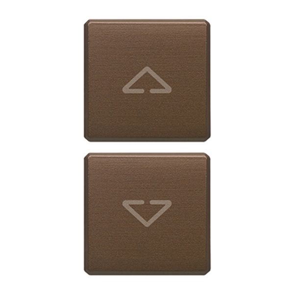 2 buttons Flat arrows symbol bronze image 1
