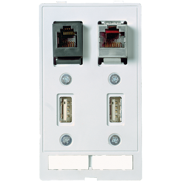 MODLINK MSDD DATA  INSERT 2×USB-A female/female + 1xRJ45 + 1xRJ12 image 1