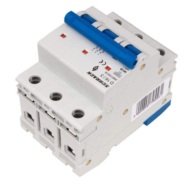 Miniature Circuit Breaker (MCB) AMPARO 10kA, D 16A, 3-pole image 6