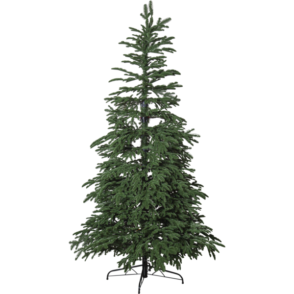 Christmas Tree Edane image 1