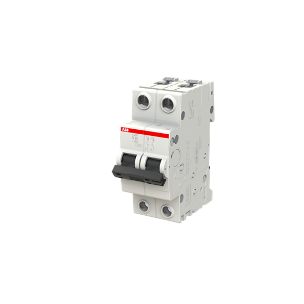 S202-C100 Miniature Circuit Breaker - 2P - C - 100 A image 5