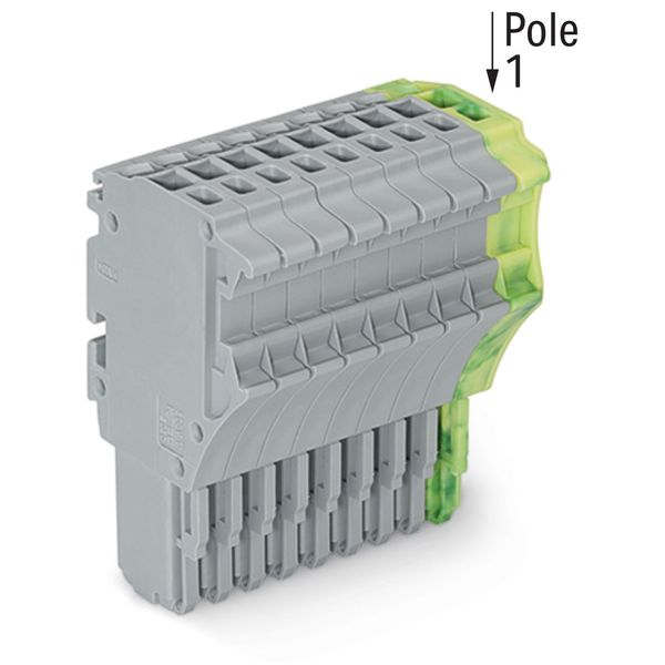 1-conductor female connector Push-in CAGE CLAMP® 1.5 mm² gray, green-y image 2