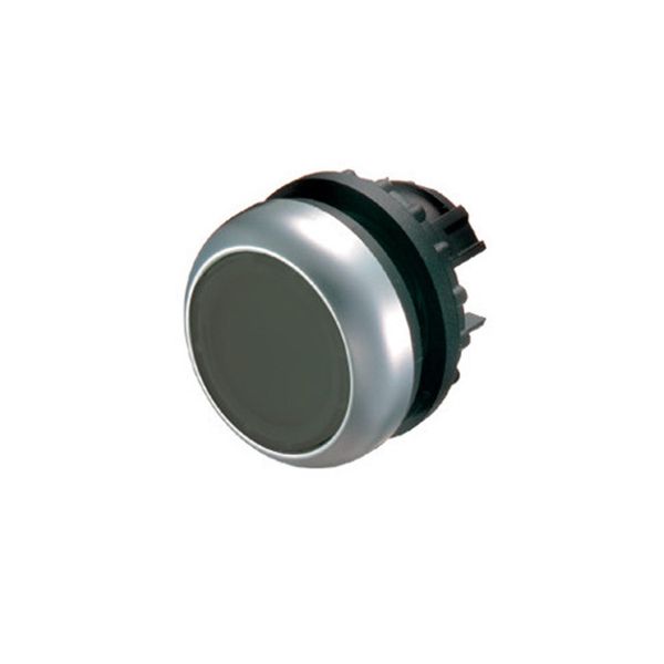 Pushbutton, RMQ-Titan, Flat, momentary, black, Blank, Bezel: titanium image 4