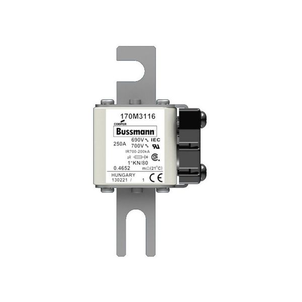 Fuse-link, high speed, 250 A, AC 690 V, compact size 1, 43 x 60 x 110 mm, aR, DIN, IEC, single indicator image 5