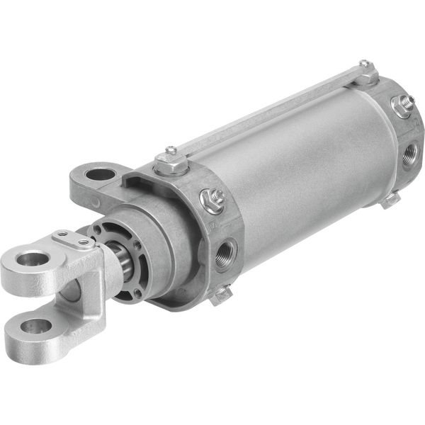 DW-80-150-Y-A-G Hinge cylinder image 1