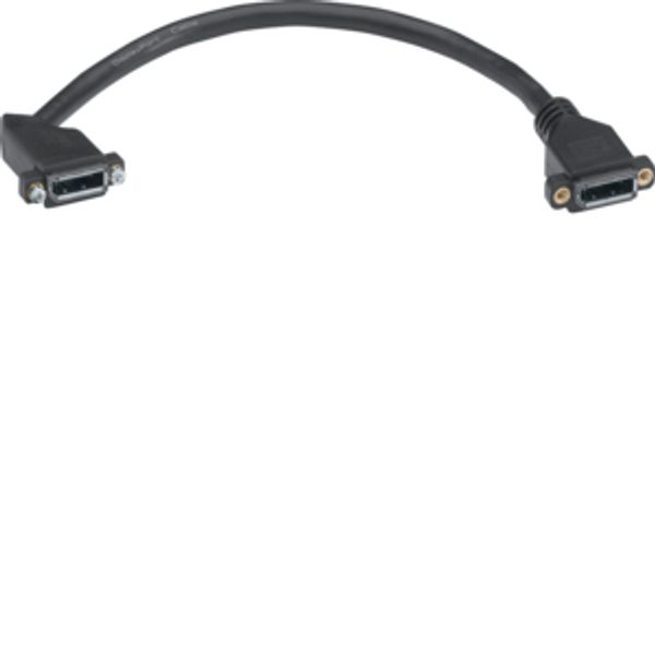 DisplayPort Cable Female-Female 0.2m, for D-SUB Panelmonting image 1