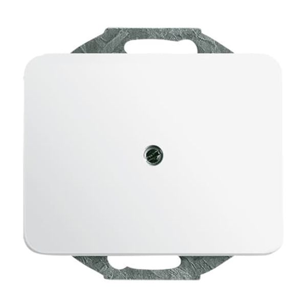 2557 PZ-212-101 CoverPlates (partly incl. Insert) carat® White image 3