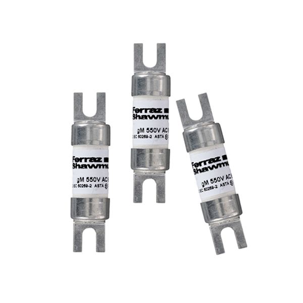 BS fuse-link IEC gM A1 550VAC 250VDC 10M16A BNIT Offset Tag image 2