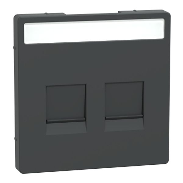 Cen.pl. f. 2-gng modular jack w. label fld & dust slide, anthracite, Sys. Design image 2