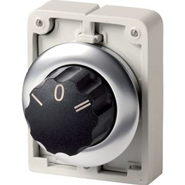 Changeover switch, RMQ-Titan, with rotary head, momentary, 3 positions, inscribed, Front ring stainless steel image 2