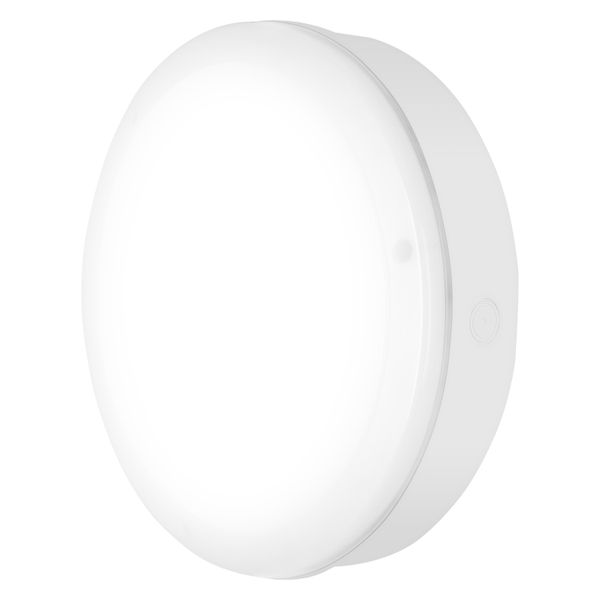 SURFACE BULKHEAD 300 SENSOR 15W 830 WT IP65 image 1