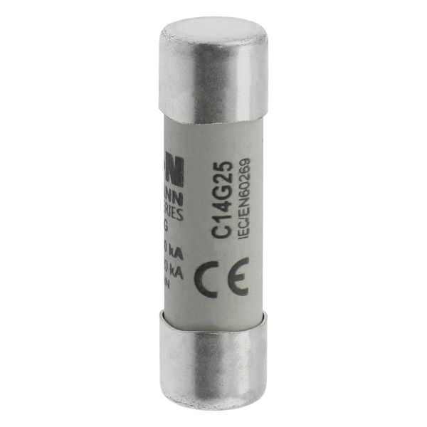 Fuse-link, LV, 25 A, AC 690 V, 14 x 51 mm, gL/gG, IEC image 18
