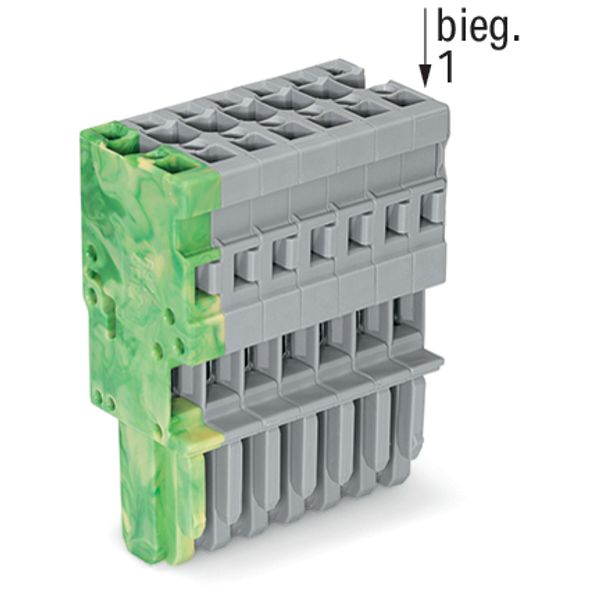 1-conductor female connector CAGE CLAMP® 4 mm² gray, green-yellow image 3
