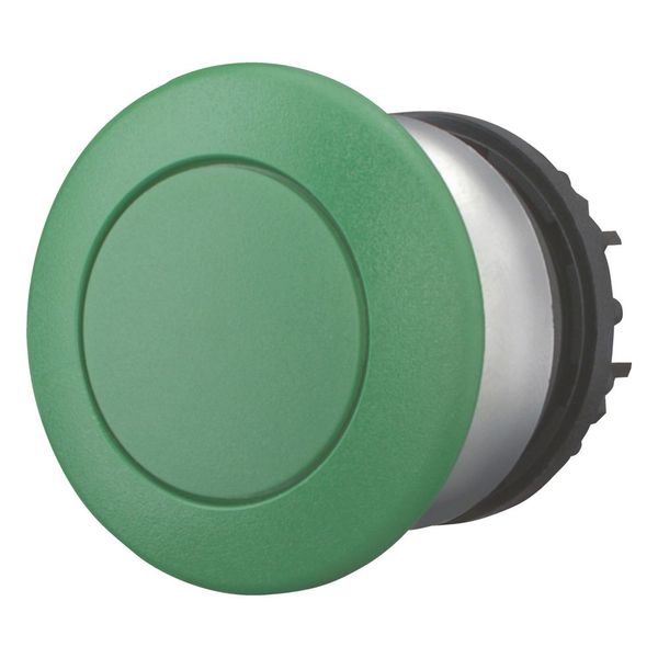 Mushroom actuator, RMQ-Titan, Mushroom, maintained, Mushroom green, green, Blank, Bezel: titanium image 11