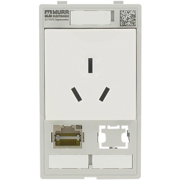 MODLINK MSDD SINGLE COMBI INSERT CHINA 1x RJ45 + 1x data cutout image 1