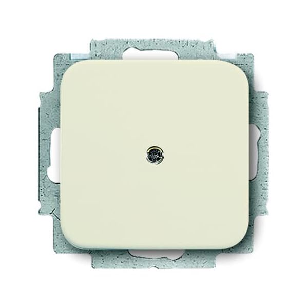 2538-212-500 CoverPlates (partly incl. Insert) carat® White image 1