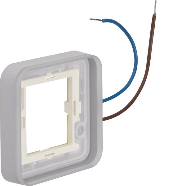 Frame 1gang, can be illuminated 230 V, for housing surface-mtd, W.1, b image 1