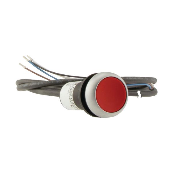 Pushbutton, Flat, momentary, 1 NC, Cable (black) with non-terminated end, 4 pole, 3.5 m, red, Blank, Bezel: titanium image 11