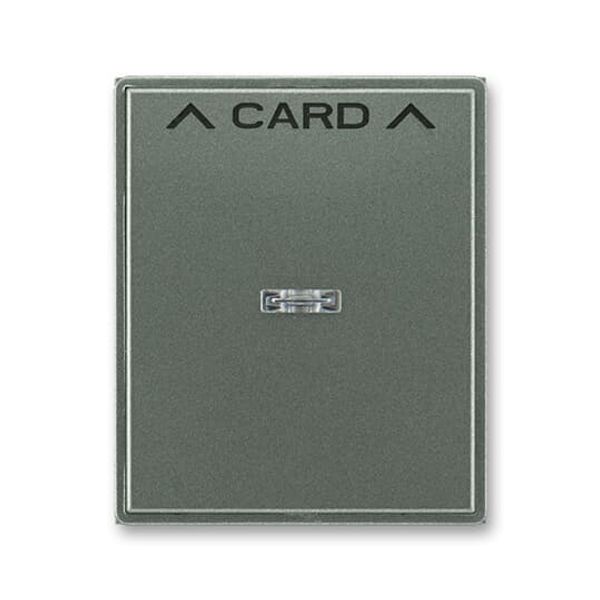 3559E-A00700 34 Card switch cover plate image 1