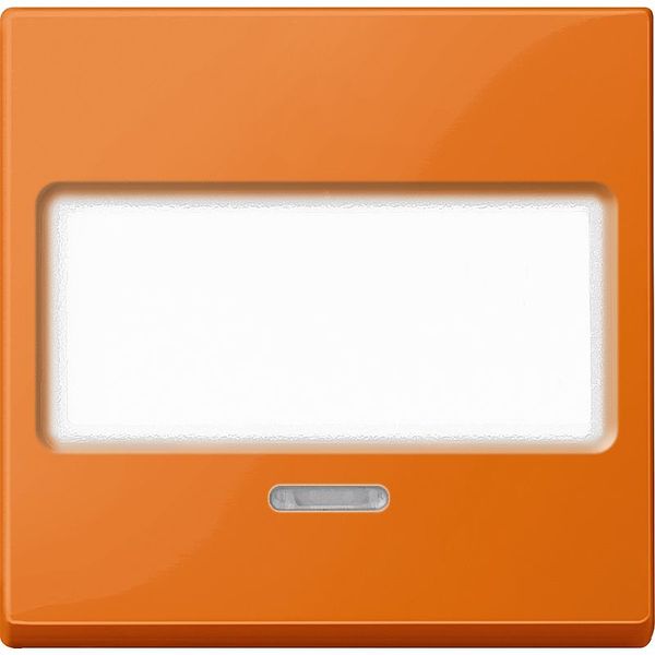 Rocker with label and control window, orange, system M image 1