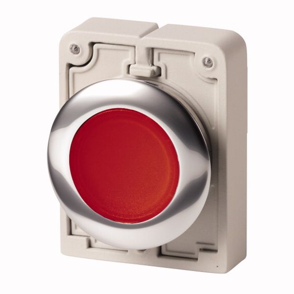 Illuminated pushbutton actuator, RMQ-Titan, Flat, momentary, red, Blank, Metal bezel image 1
