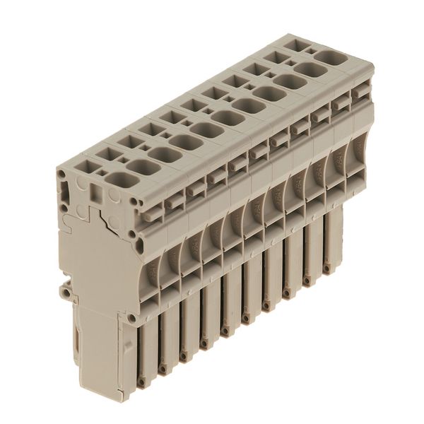 Plug (terminal), Tension-clamp connection, 4 mm², 800 V, 32 A, Number  image 1