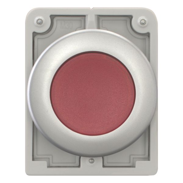 Illuminated pushbutton actuator, RMQ-Titan, Flat, maintained, red, Blank, Metal bezel image 4