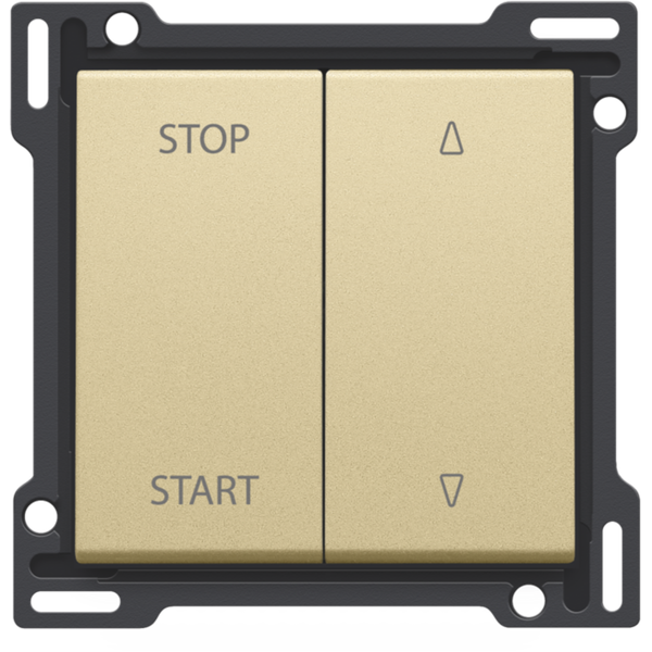 Finishing set for electrically separated roll-down shutter switch, gol image 2