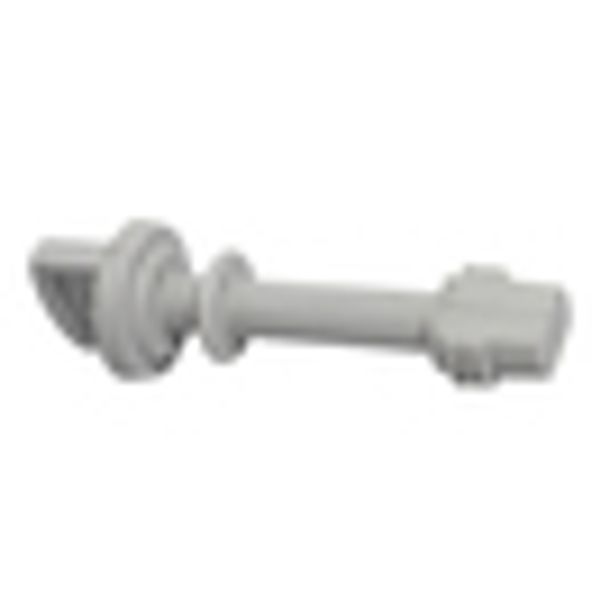 Wing head screw 30 mm image 2