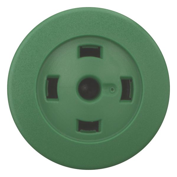 Mushroom actuator, RMQ-Titan, Mushroom, maintained, Mushroom green, Without button plate, Bezel: black image 4