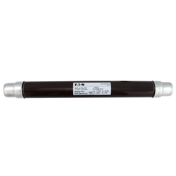 Fuse-link, medium voltage, 31.5 A, AC 17.5 kV, 2", 51 x 442 mm, back-up, DIN, with striker image 4