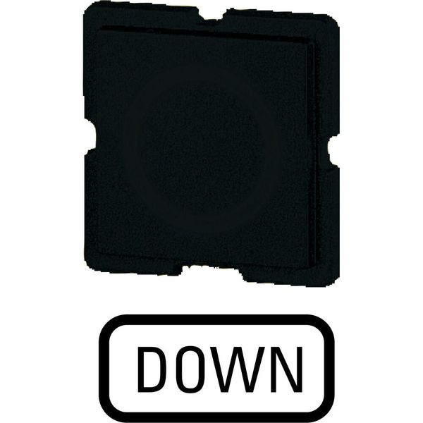 Button plate for push-button, Inscription: DOWN, 25 x 25 image 5