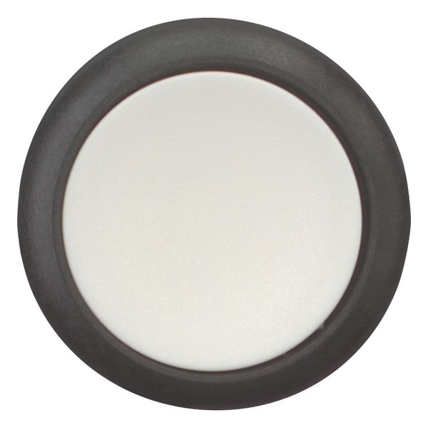 Pushbutton, Flat, maintained, 1 NC, 1 N/O, Screw connection, White, Blank, Bezel: black image 10