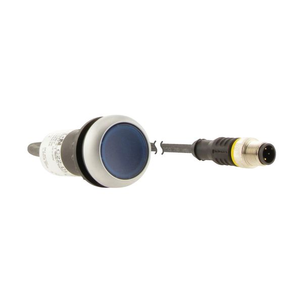 Illuminated pushbutton actuator, Flat, momentary, 1 N/O, Cable (black) with M12A plug, 4 pole, 0.2 m, LED Blue, Blue, Blank, 24 V AC/DC, Bezel: titani image 10